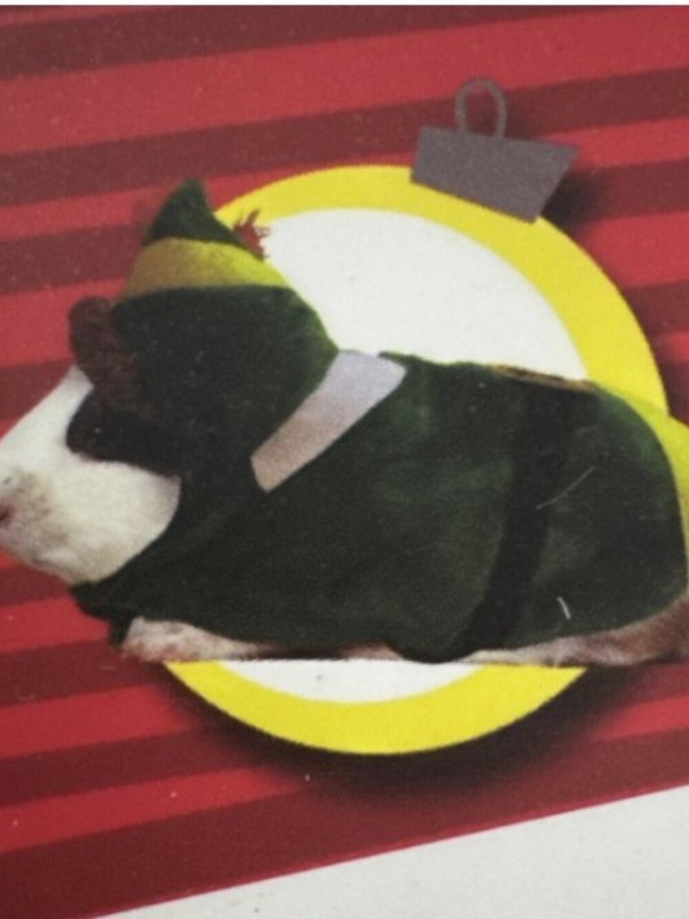 elf NWT Small Animal Costume Hoodie